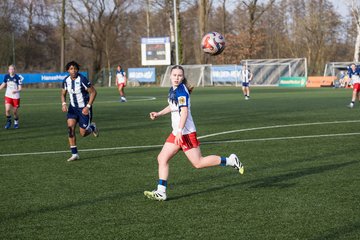 Bild 445 - wBJ Hamburger SV - Hertha BSC : Ergebnis: 2:1